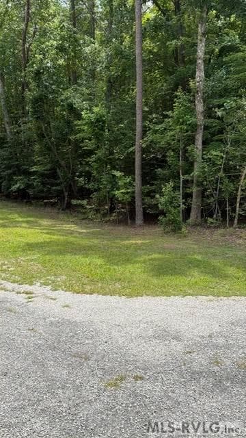 Acreage,Residential Lot-Unrestricted,Unimproved Land at 000 Canvas Back Ct., Valentines VA 23887, Valentines, photo 7 of 21