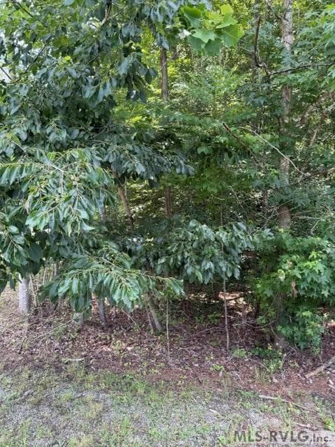 Acreage,Residential Lot-Unrestricted,Unimproved Land at 000 Canvas Back Ct., Valentines VA 23887, Valentines, photo 20 of 21