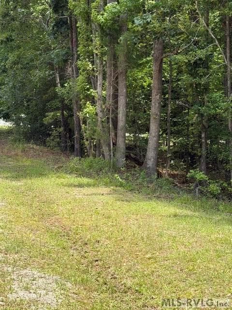 Acreage,Residential Lot-Unrestricted,Unimproved Land at 000 Canvas Back Ct., Valentines VA 23887, Valentines, photo 10 of 21