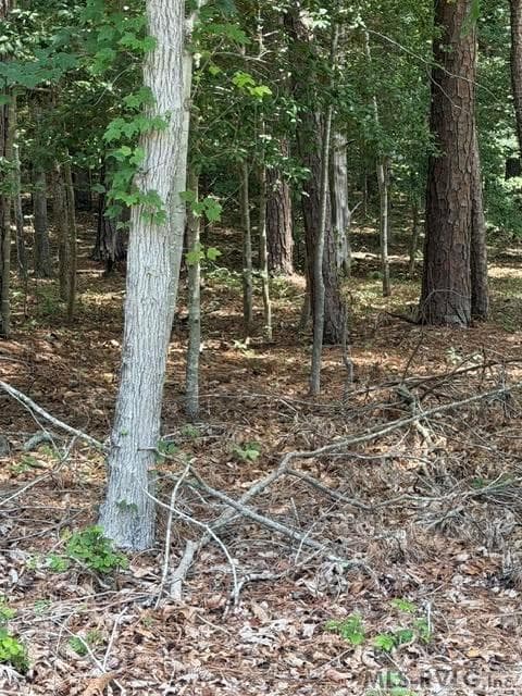 Acreage,Residential Lot-Unrestricted,Unimproved Land at 000 Canvas Back Ct., Valentines VA 23887, Valentines, photo 14 of 21