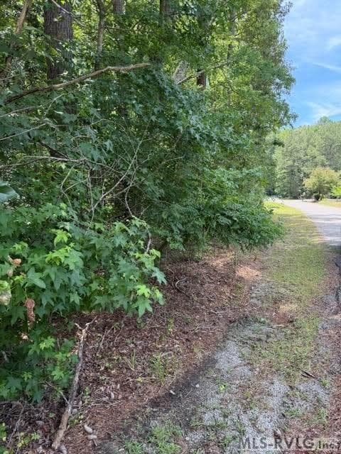 Acreage,Residential Lot-Unrestricted,Unimproved Land at 000 Canvas Back Ct., Valentines VA 23887, Valentines, photo 18 of 21