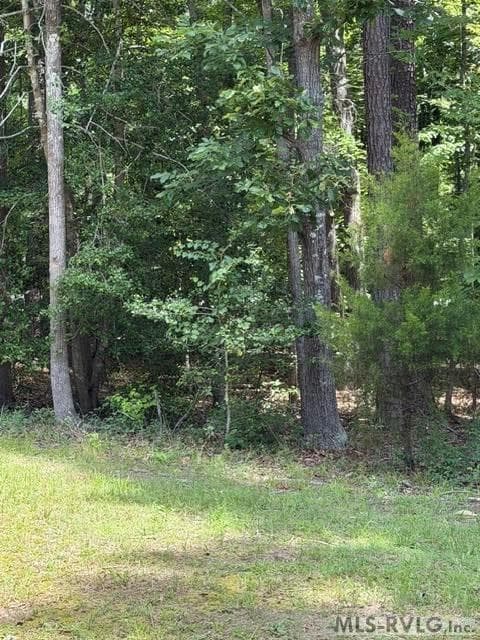 Acreage,Residential Lot-Unrestricted,Unimproved Land at 000 Canvas Back Ct., Valentines VA 23887, Valentines, photo 11 of 21