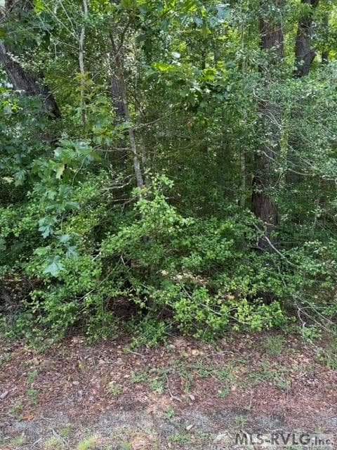 Acreage,Residential Lot-Unrestricted,Unimproved Land at 000 Canvas Back Ct., Valentines VA 23887, Valentines, photo 19 of 21