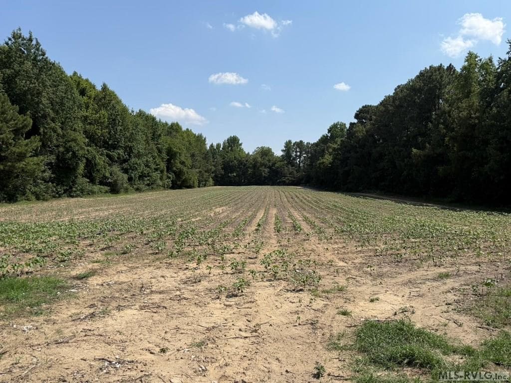 0 Rhea Smith Road, Roanoke Rapids NC 27870 photo 7