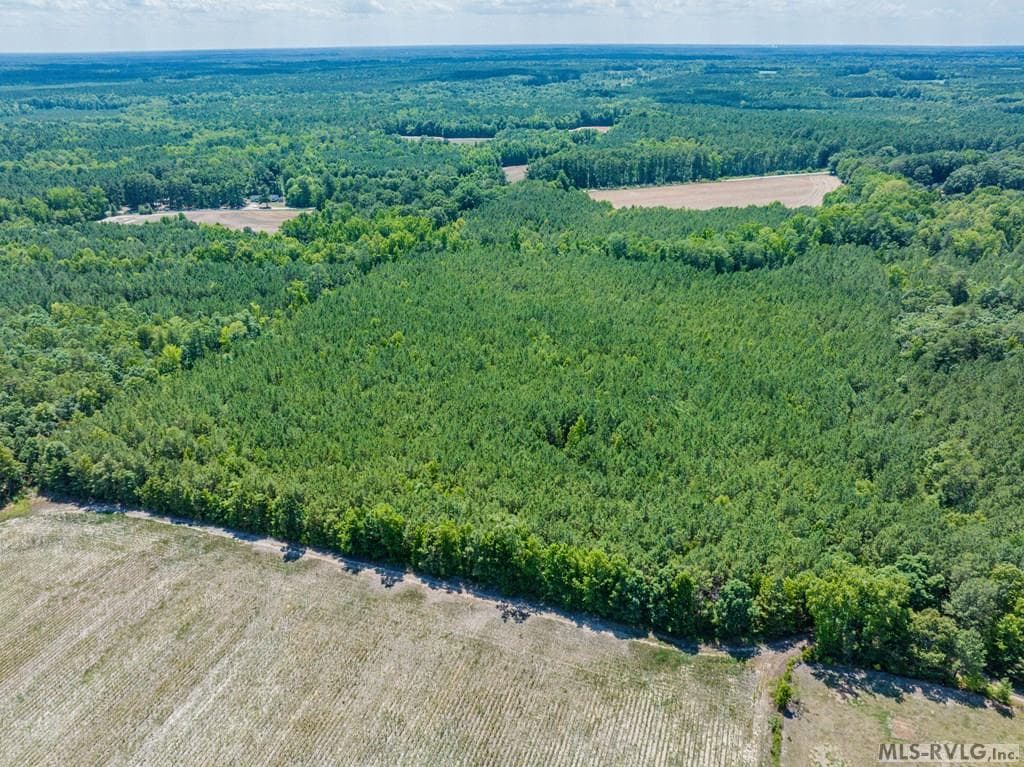 27 Justice Branch Road, Littleton NC 27850 photo 12