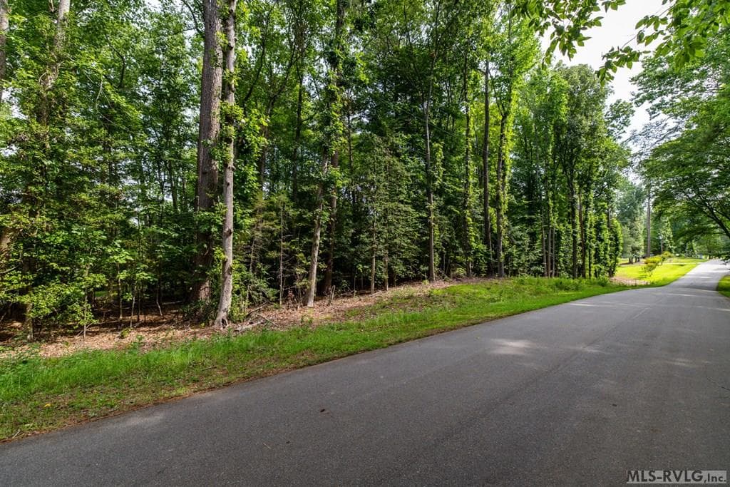 21 Rocky Branch Circle, Macon NC 27551 photo 23