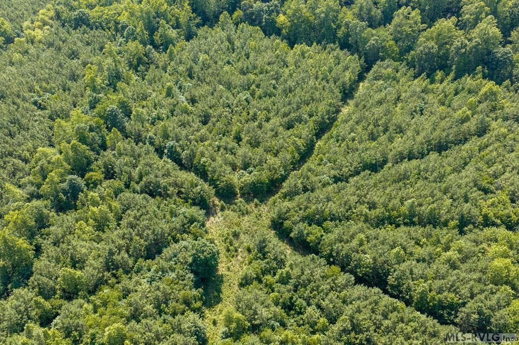 Acreage,Unimproved Land at 0 South Hill Road, Kenbridge VA 23944, Kenbridge, photo 20 of 39
