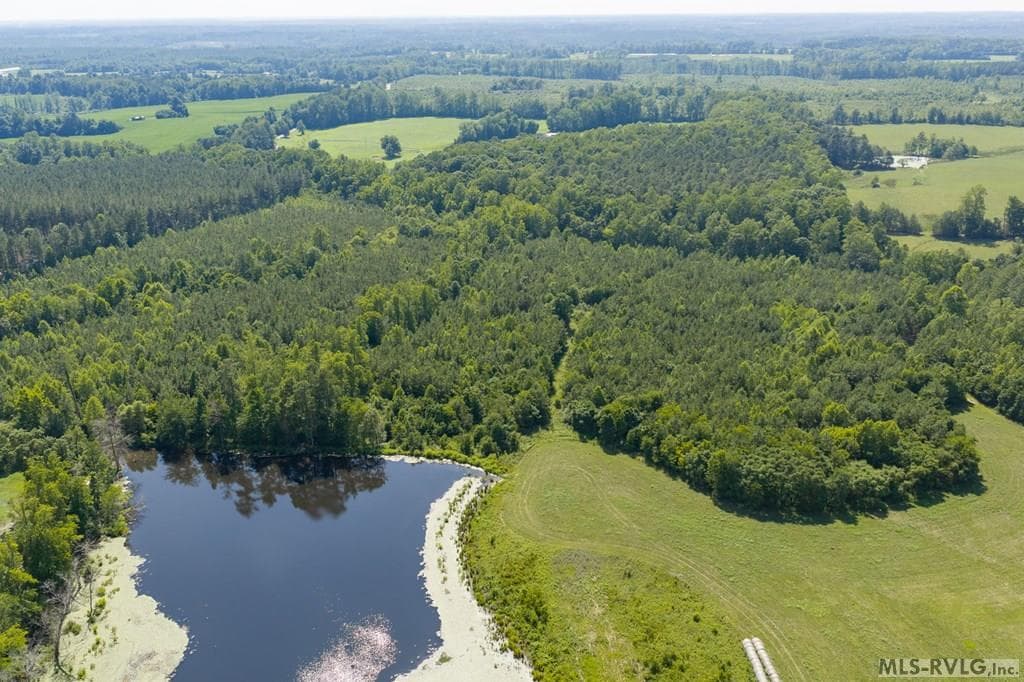 Acreage,Unimproved Land at 0 South Hill Road, Kenbridge VA 23944, Kenbridge, photo 14 of 39