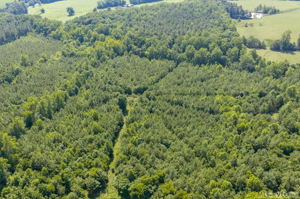 Acreage,Unimproved Land at 0 South Hill Road, Kenbridge VA 23944, Kenbridge, photo 19 of 39