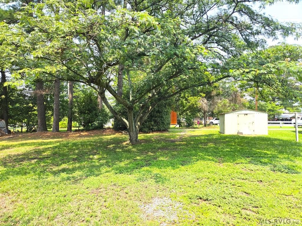 BACK YARD A