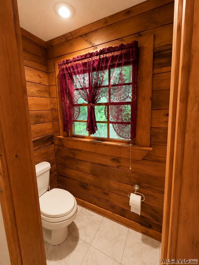 1607 Occanecchi Trail, Ebony VA 23845 photo 28