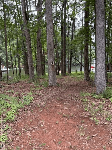 1607 Occanecchi Trail, Ebony VA 23845 photo 5