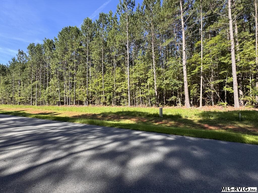 Acreage,Residential Lot-Restricted,Unimproved Land at LOT 41 Birdsong Rd, Ebony VA 23845, Ebony, photo 9 of 10