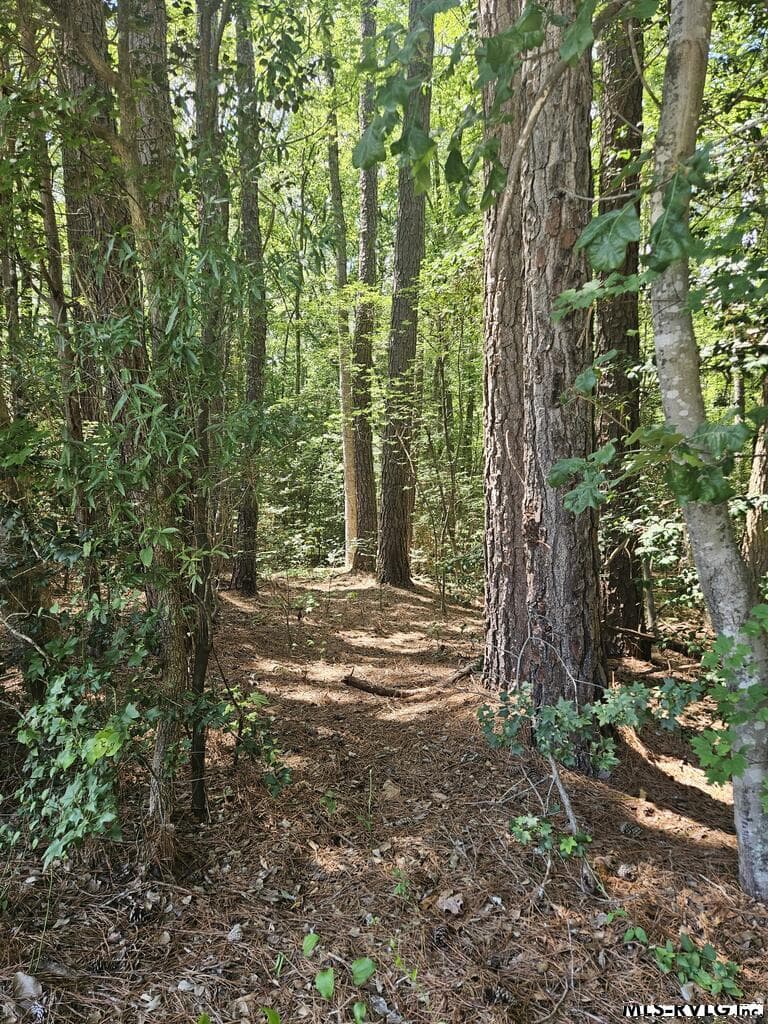 00 Poplar Drive, Macon NC 27551