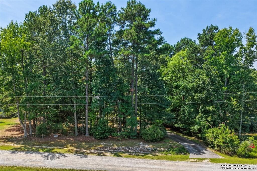 725 Valentines Street, Gasburg VA 23857 photo 2