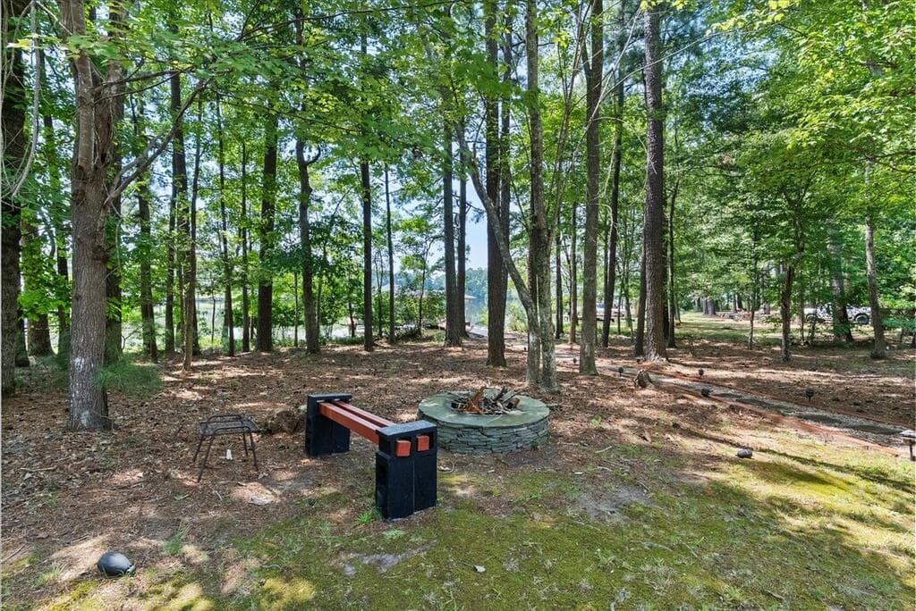 725 Valentines Street, Gasburg VA 23857 photo 19