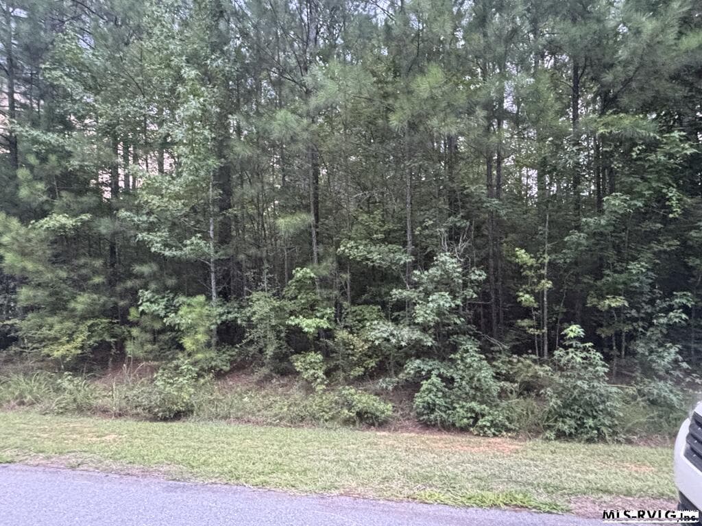 Lot # 8 Halyard Drive, Roanoke Rapids NC 27870 photo 8