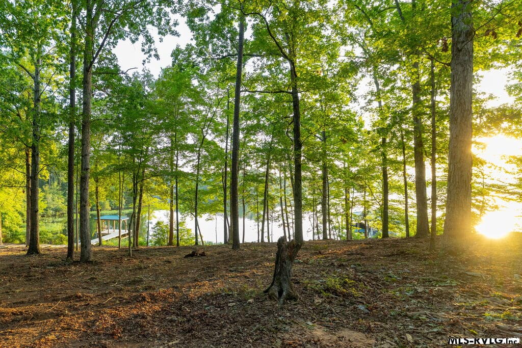 141 South Don Haven, Littleton VA 23850 photo 27