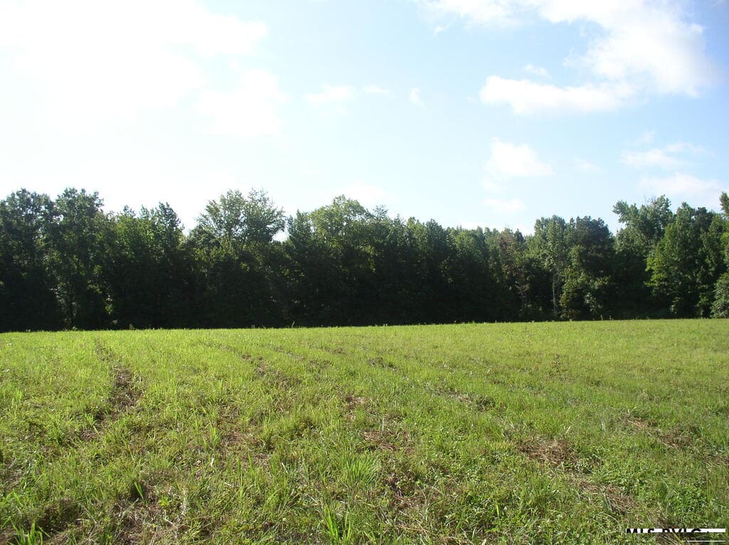 140 Bonnie Harris Lane, Louisburg NC 27549 photo 13