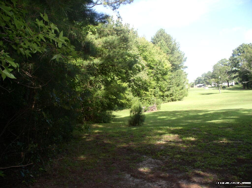 140 Bonnie Harris Lane, Louisburg NC 27549 photo 17