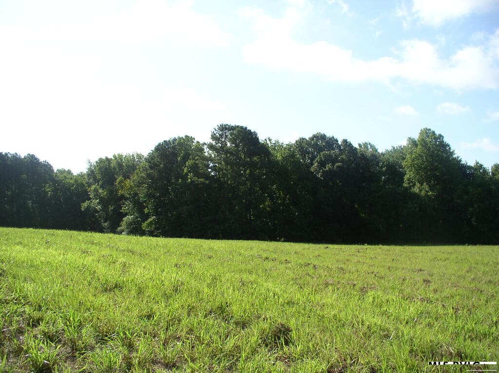 140 Bonnie Harris Lane, Louisburg NC 27549 photo 7