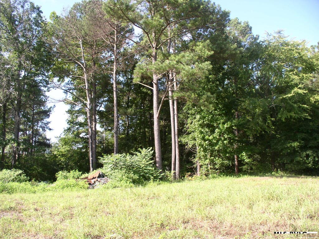 140 Bonnie Harris Lane, Louisburg NC 27549 photo 10