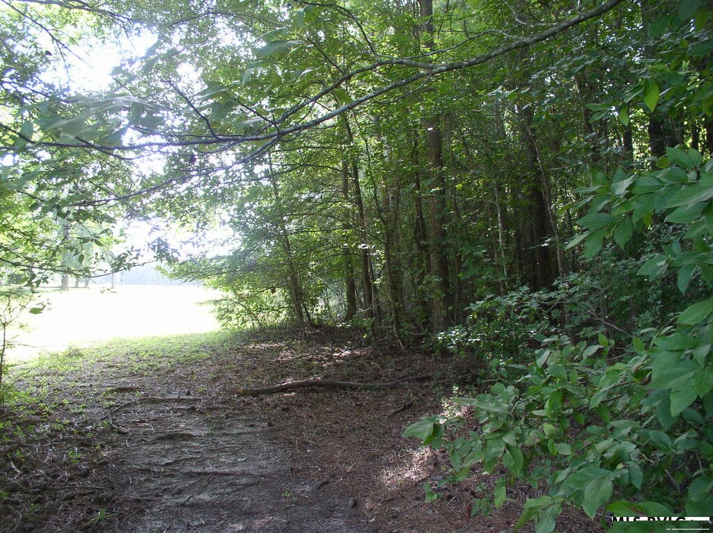 140 Bonnie Harris Lane, Louisburg NC 27549 photo 18
