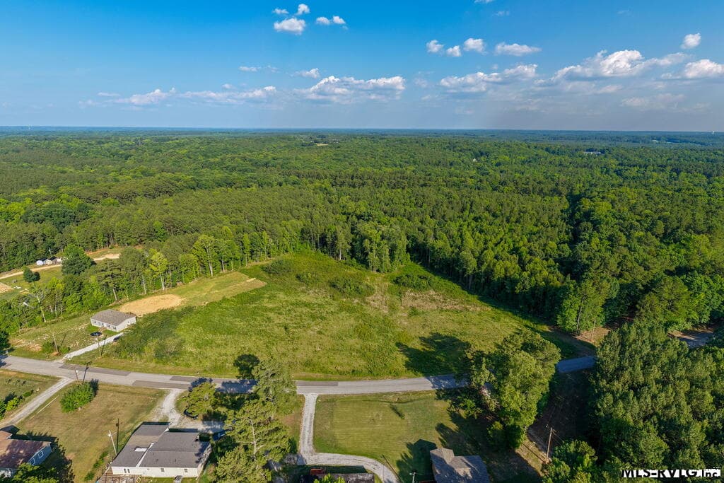 Acreage,Residential Lot-Unrestricted,Double Wide Permitted,Modular On Frame Permitted,Unimproved Land at Lot 4 Oak Road, Brodnax VA 23920, Brodnax, photo 23 of 24