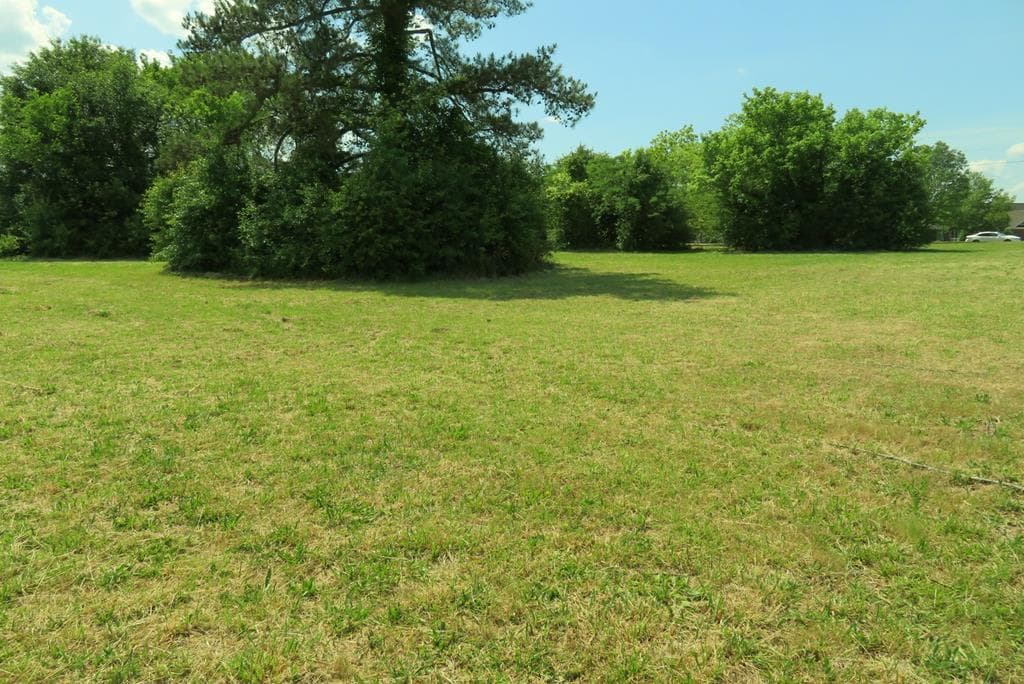 Acreage,Other-See Remarks,Unimproved Land at 0 Highway 125, Roanoke Rapids NC 27870, Roanoke Rapids, photo 6 of 6