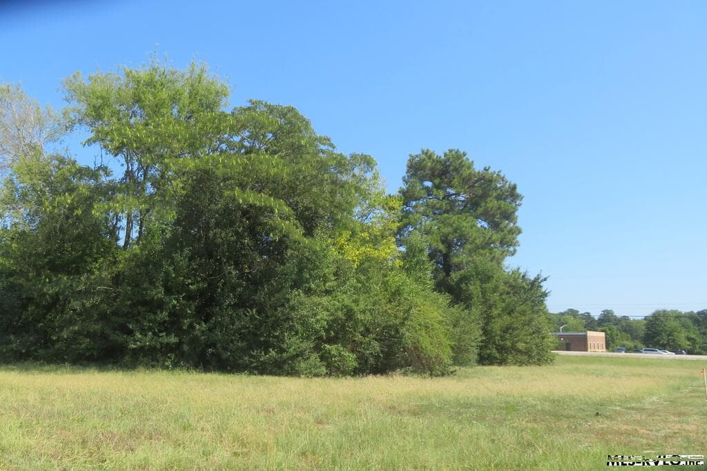 Acreage,Other-See Remarks,Unimproved Land at 0 Highway 125, Roanoke Rapids NC 27870, Roanoke Rapids, photo 5 of 6