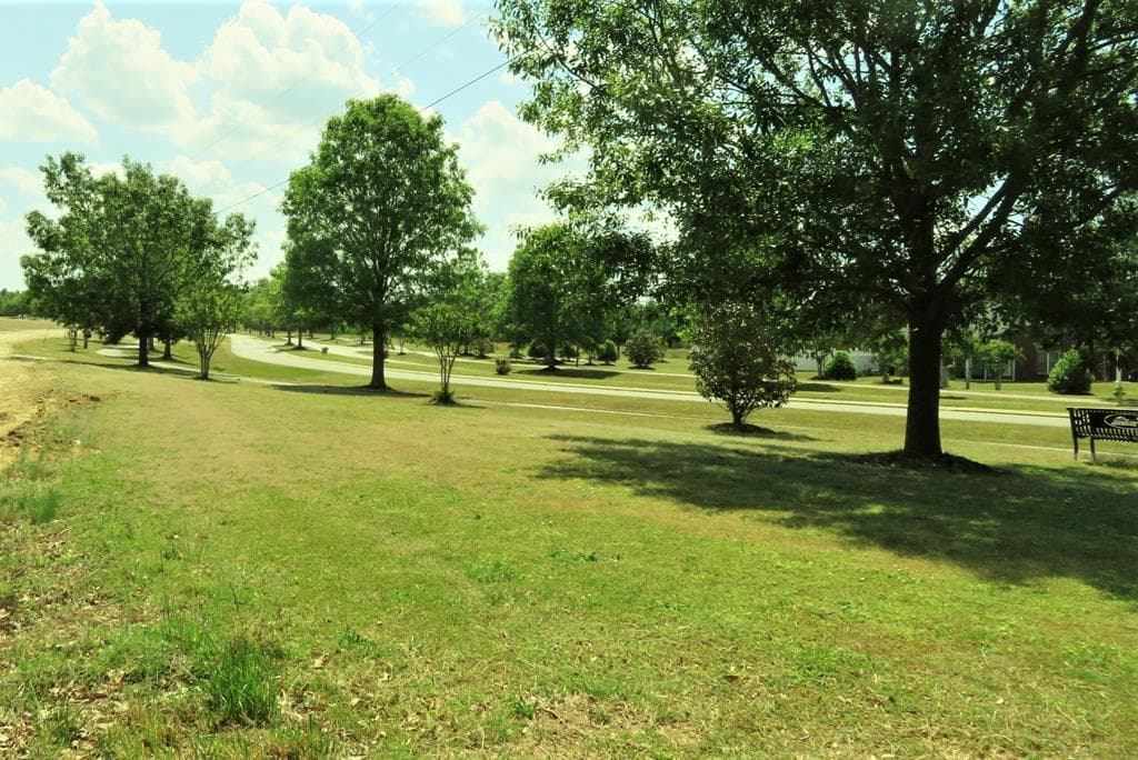 Acreage,Other-See Remarks,Unimproved Land at 0 Highway 125, Roanoke Rapids NC 27870, Roanoke Rapids, photo 4 of 6