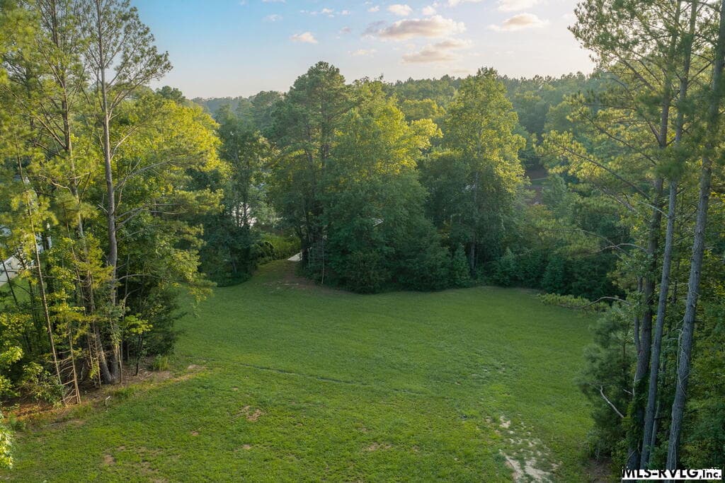 Residential Lot-Restricted,Unimproved Land at 00 Waterlyn Drive, Ebony VA 23845, Ebony, photo 13 of 16