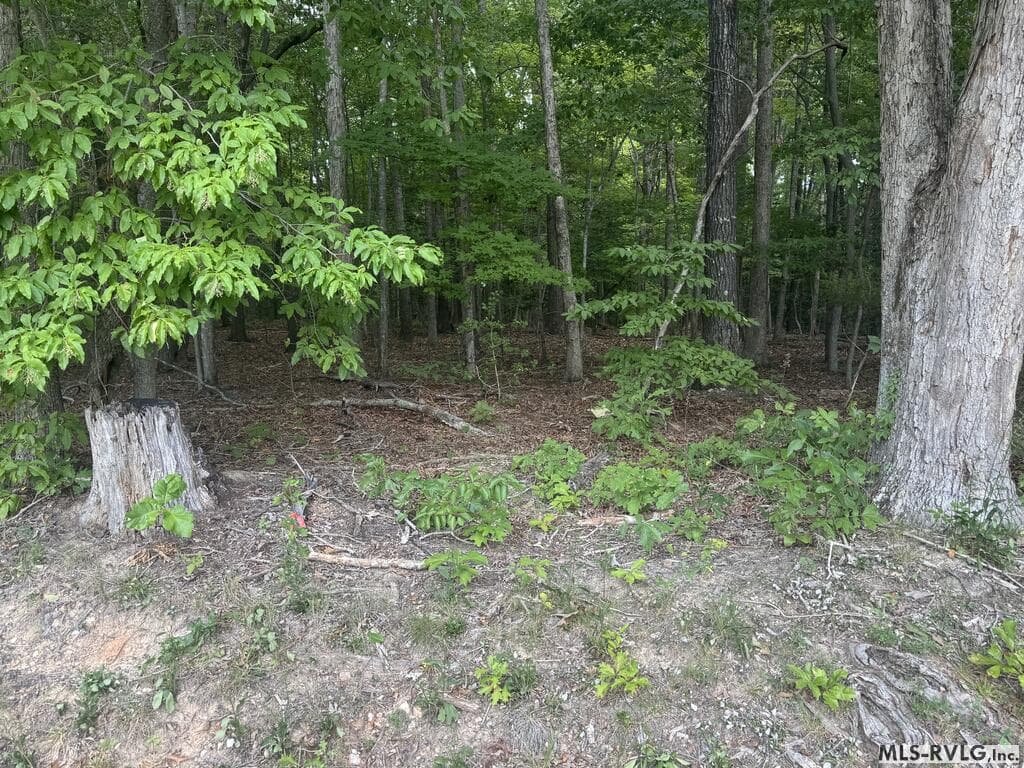 Other-See Remarks,Unimproved Land at Lot 1C Mill Creek Road, Clarksville VA 23927, Clarksville, photo 13 of 21