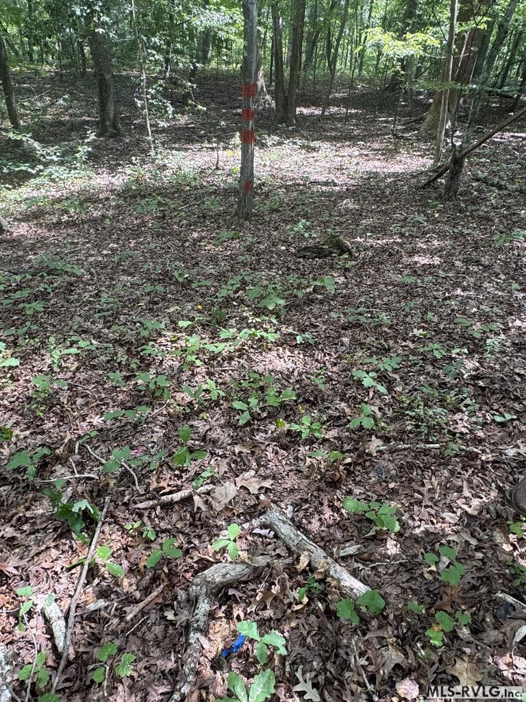 Other-See Remarks,Unimproved Land at Lot 1C Mill Creek Road, Clarksville VA 23927, Clarksville, photo 17 of 21