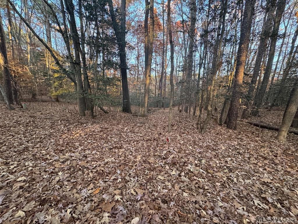 Residential Lot-Restricted,Unimproved Land at LOT 64 Windward Passage, Bracey VA 23919, Bracey, photo 13 of 22