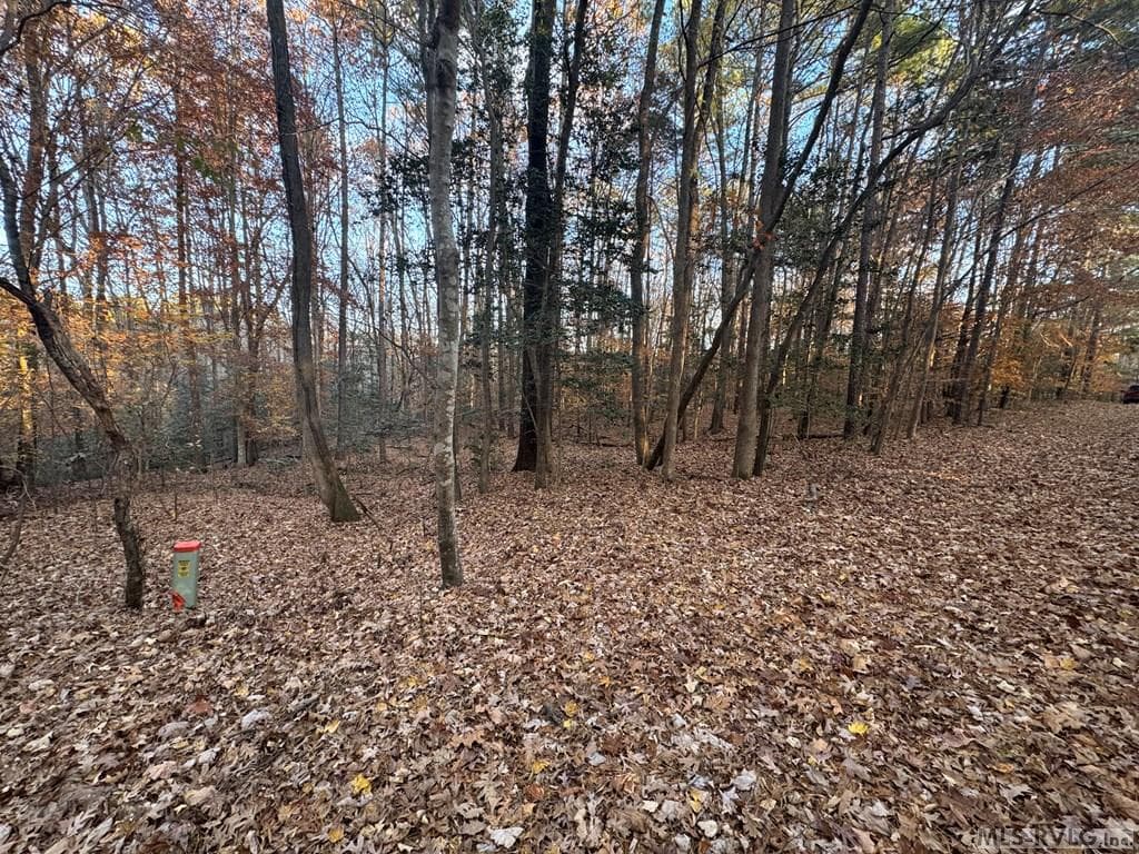 Residential Lot-Restricted,Unimproved Land at LOT 64 Windward Passage, Bracey VA 23919, Bracey, photo 17 of 22