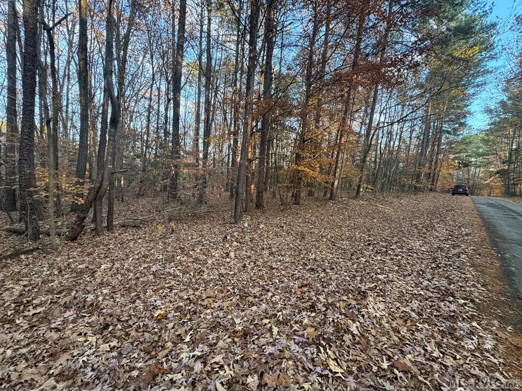 Residential Lot-Restricted,Unimproved Land at LOT 64 Windward Passage, Bracey VA 23919, Bracey, photo 12 of 22