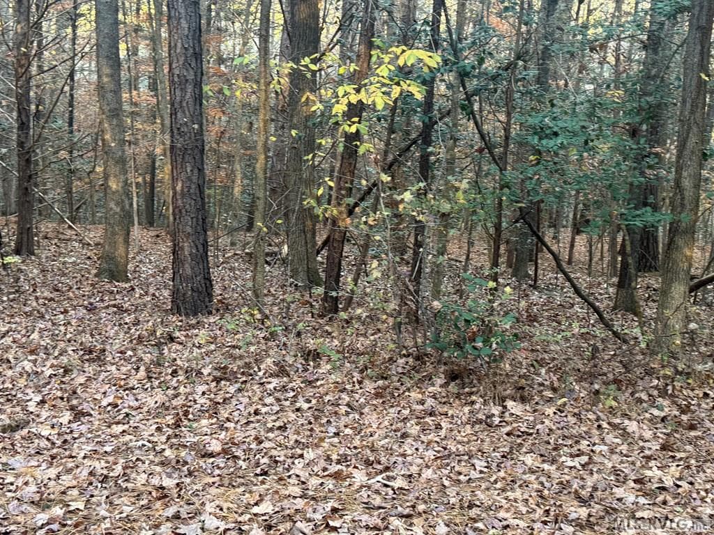 Residential Lot-Restricted,Unimproved Land at LOT 64 Windward Passage, Bracey VA 23919, Bracey, photo 5 of 22