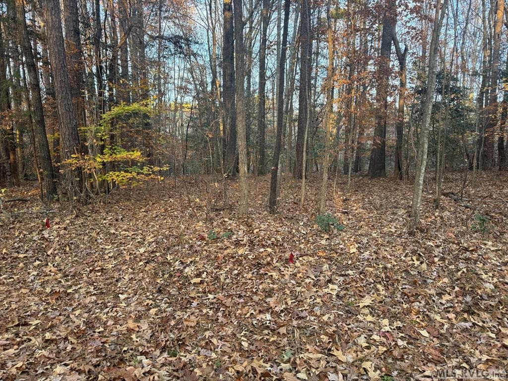 Residential Lot-Restricted,Unimproved Land at LOT 64 Windward Passage, Bracey VA 23919, Bracey, photo 20 of 22