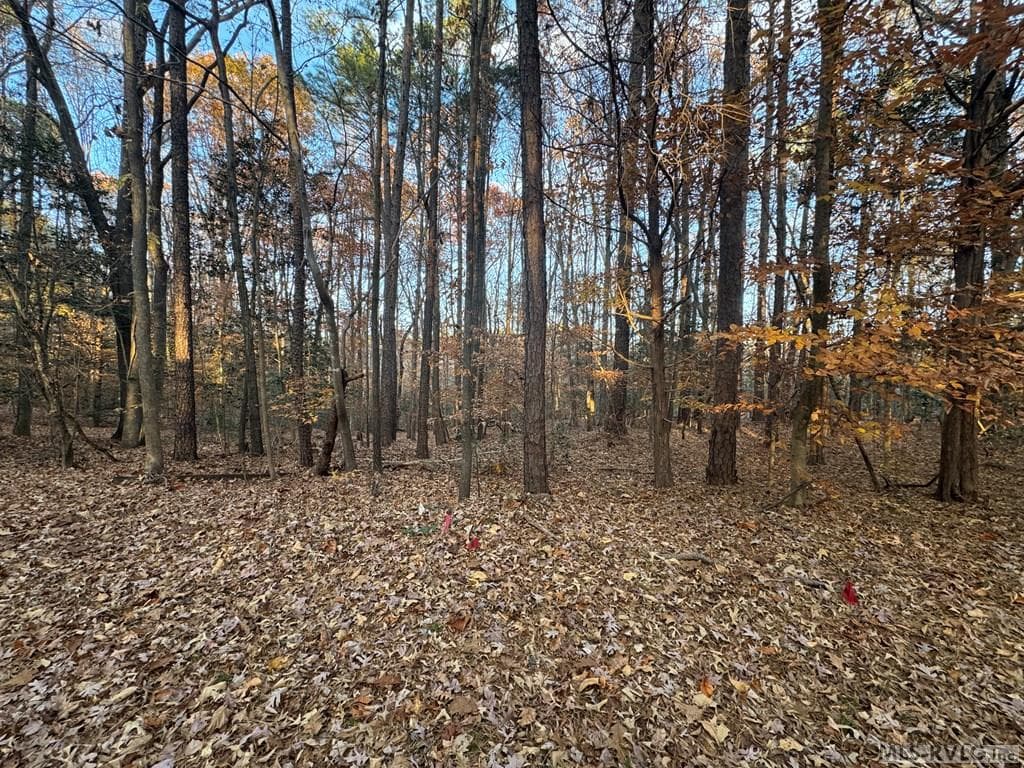 Residential Lot-Restricted,Unimproved Land at LOT 64 Windward Passage, Bracey VA 23919, Bracey, photo 9 of 22