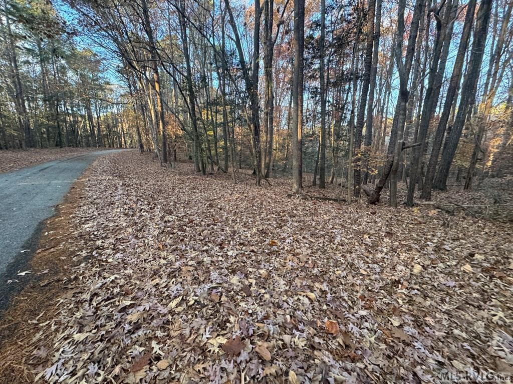 Residential Lot-Restricted,Unimproved Land at LOT 64 Windward Passage, Bracey VA 23919, Bracey, photo 10 of 22
