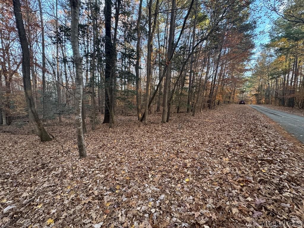 Residential Lot-Restricted,Unimproved Land at LOT 64 Windward Passage, Bracey VA 23919, Bracey, photo 18 of 22
