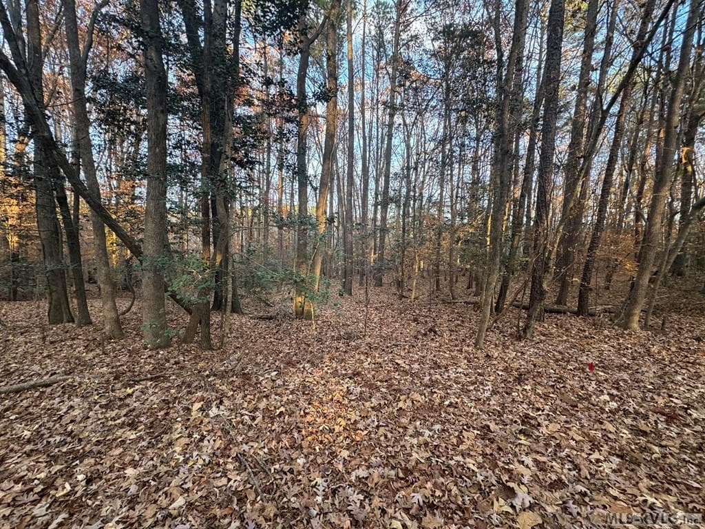 Residential Lot-Restricted,Unimproved Land at LOT 64 Windward Passage, Bracey VA 23919, Bracey, photo 15 of 22