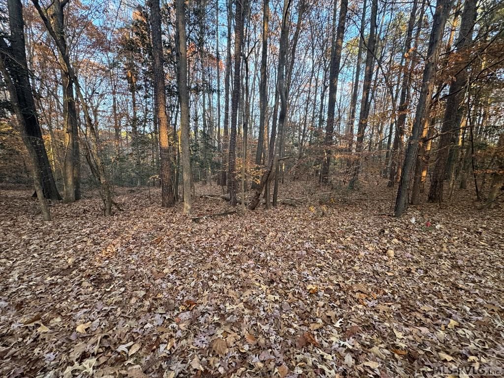 Residential Lot-Restricted,Unimproved Land at LOT 64 Windward Passage, Bracey VA 23919, Bracey, photo 11 of 22