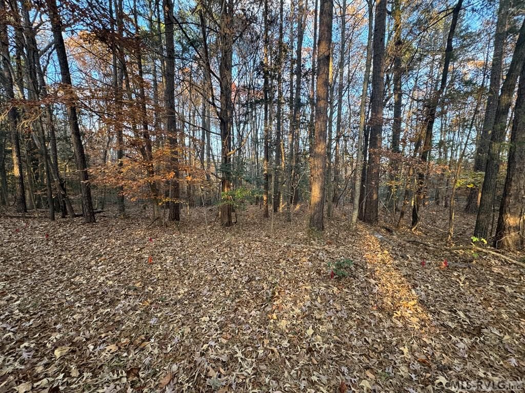Residential Lot-Restricted,Unimproved Land at LOT 64 Windward Passage, Bracey VA 23919, Bracey, photo 8 of 22