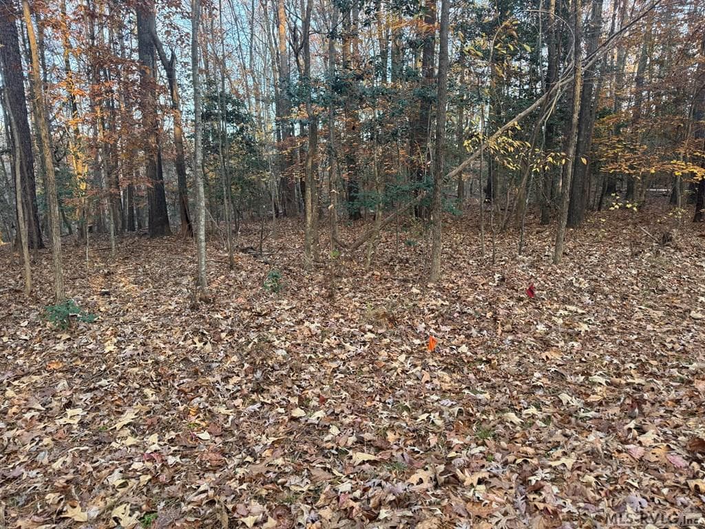 Residential Lot-Restricted,Unimproved Land at LOT 64 Windward Passage, Bracey VA 23919, Bracey, photo 21 of 22