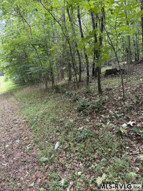 Acreage,Residential Lot-Restricted,Unimproved Land at 000 Second Ave, Lawrenceville VA 23868, Lawrenceville, photo 2 of 38