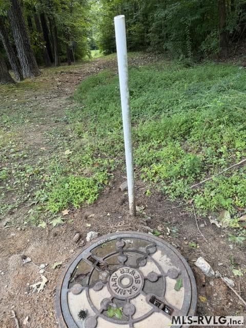 Acreage,Residential Lot-Restricted,Unimproved Land at 000 Second Ave, Lawrenceville VA 23868, Lawrenceville, photo 13 of 38