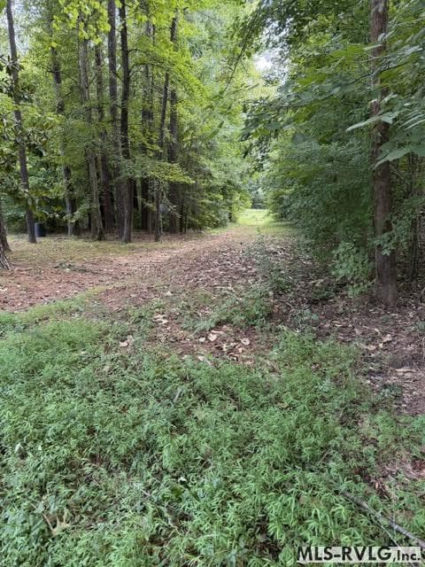 Acreage,Residential Lot-Restricted,Unimproved Land at 000 Second Ave, Lawrenceville VA 23868, Lawrenceville, photo 16 of 38