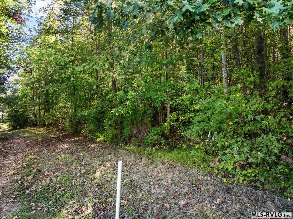 Acreage,Residential Lot-Restricted,Unimproved Land at 000 Second Ave, Lawrenceville VA 23868, Lawrenceville, photo 12 of 38